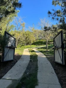 Double Swing Gate with Opener
